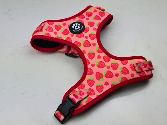 Pink, red with little strawberries Sassy Paws Adjustable Dog Harness