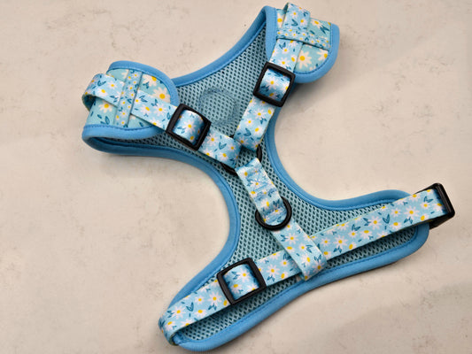 Blue with small white flowers Sassy Paws Adjustable Dog Harness