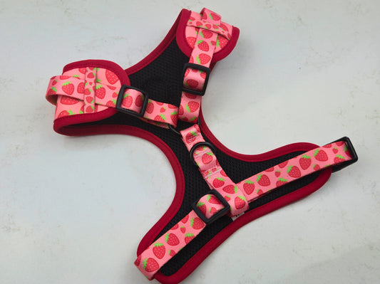 Pink, read with little strawberries Sassy Paws Adjustable Dog Harness