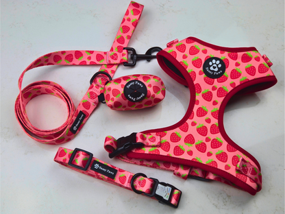 Pink, Red and with little strawberries Sassy Paws Dog Harness Set including Adjustable Dog Harness, Dog QR Collar, Dog Lead, Waste Bag Holder