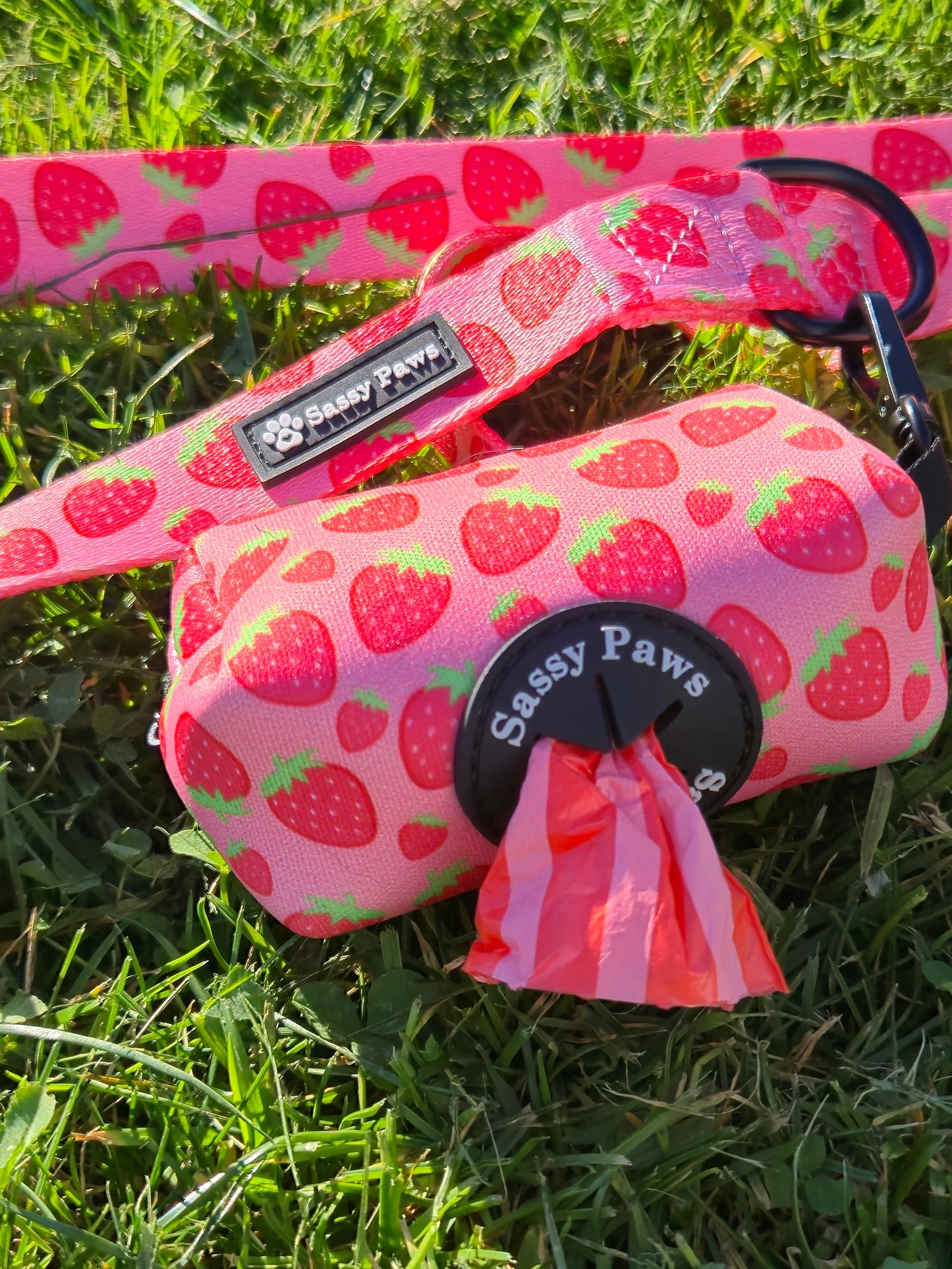 Pink, red with little strawberries Sassy Paws Waste Bag Holder with black clip and matching lead or leash Black finishings