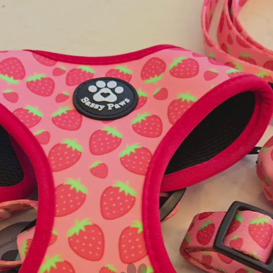 Dog Harness Dog Collar Dog Lead Pink Sassy Paws