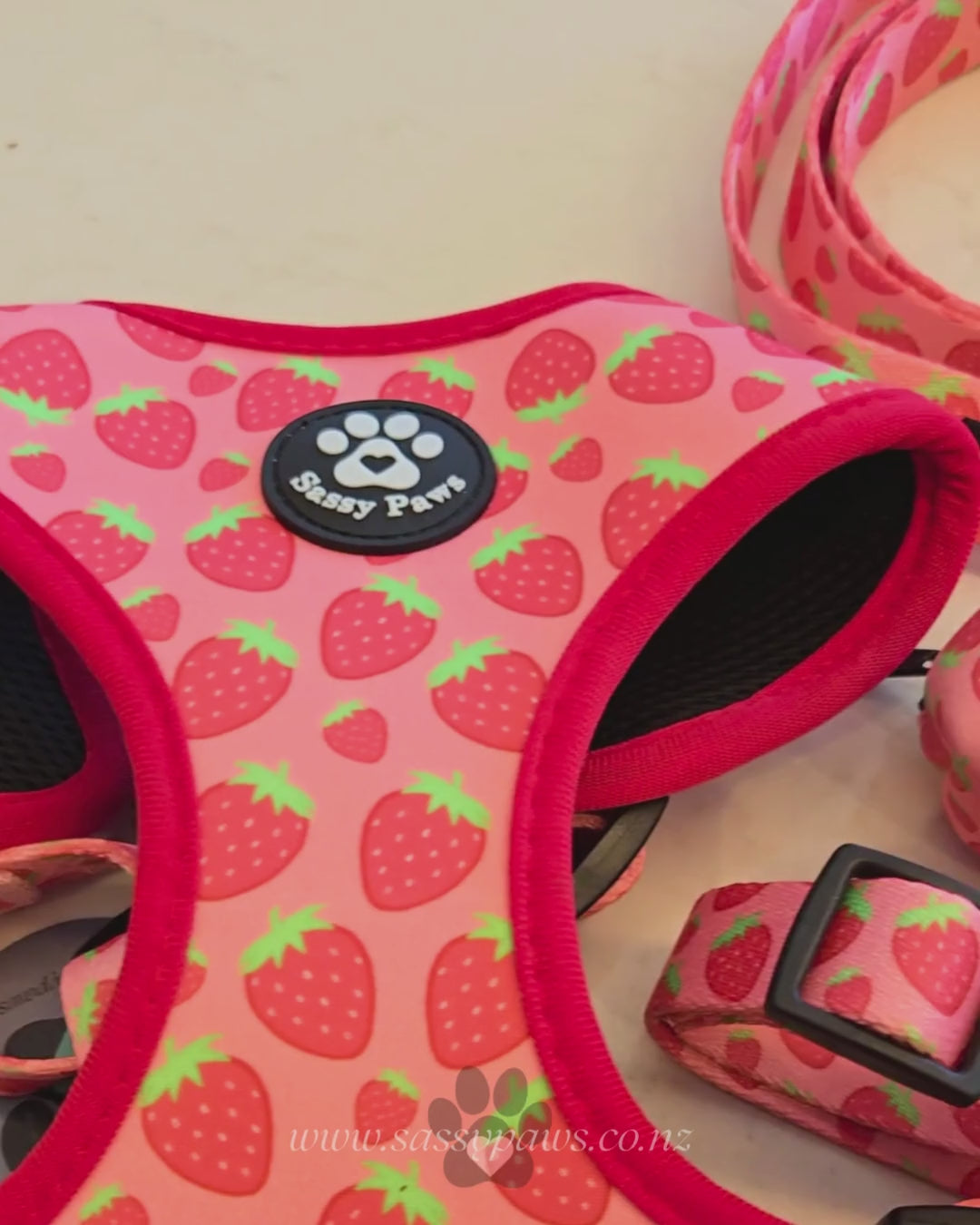 Dog Harness Dog Collar Dog Lead Pink Sassy Paws